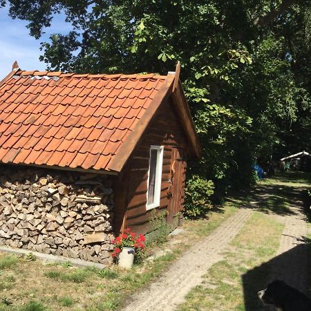 Landelijk Gelegen Huisje Op Erf Veeningen Extérieur photo