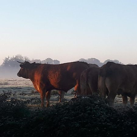 Landelijk Gelegen Huisje Op Erf Veeningen Extérieur photo