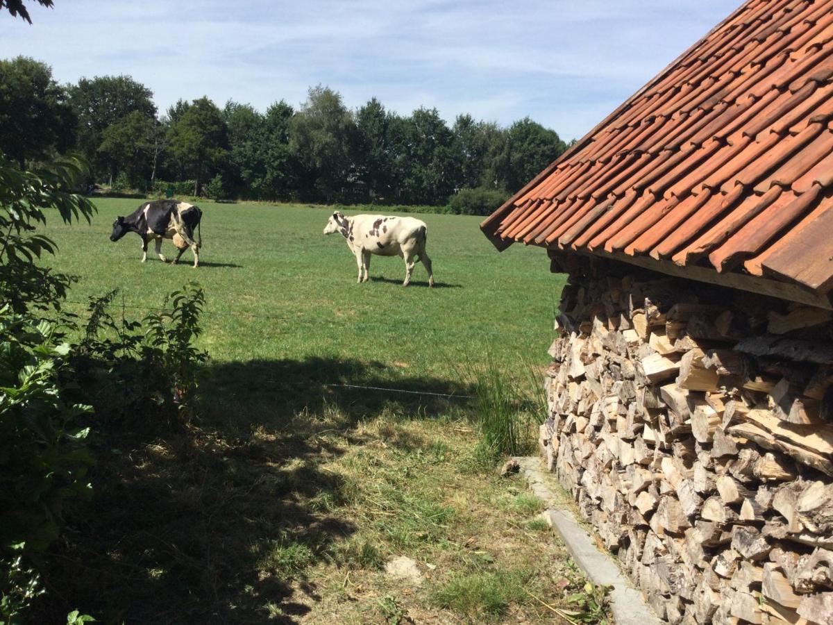 Landelijk Gelegen Huisje Op Erf Veeningen Extérieur photo