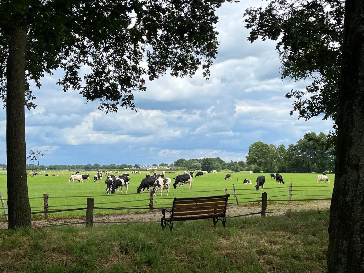 Landelijk Gelegen Huisje Op Erf Veeningen Extérieur photo